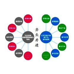企业营销策划的核心方向与定价指南