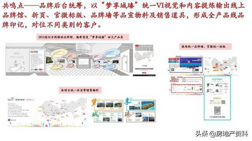 万科地产全产品线打造与管理实践 从研发设计到营销策划的一体化策略