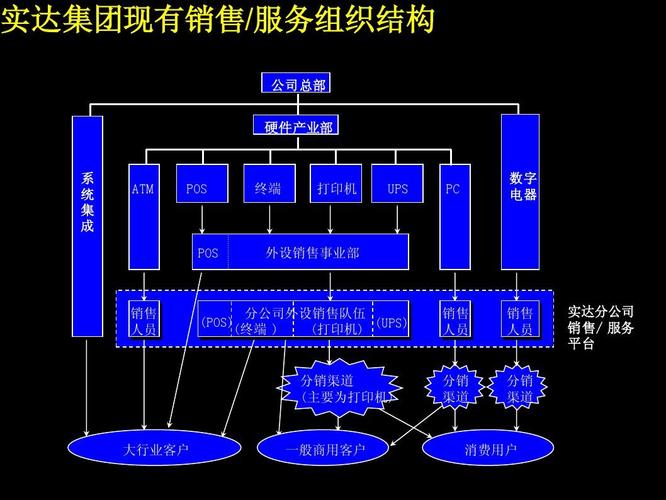 实达集团企业市场营销战略方案ppt