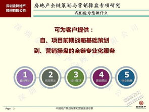 房地产项目全链服务 从前期拿地策划到市场营销的高效衔接